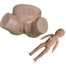 Anatomical Models Factory "Advanced Midwifery Training Vacuum Baby Delivery Model - Lifelike Obstetrics Simulator for Nursing Education - Comprehensive Anatomical Representation