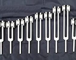 Human Organ Weighted 15 Set of Tuning Forks with Activator and Velvet Pouch (Pro)